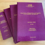 Defensa de tesis doctoral: Jin Yan